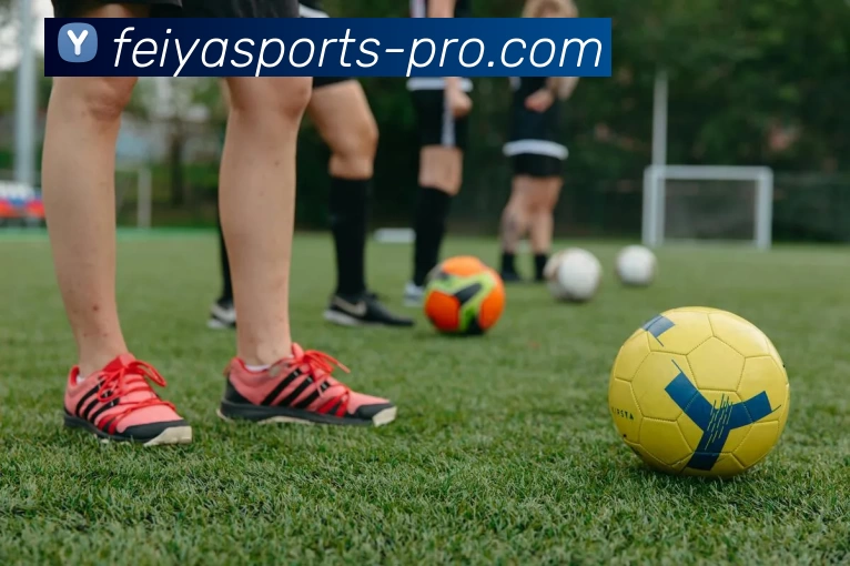 App Interface Preview