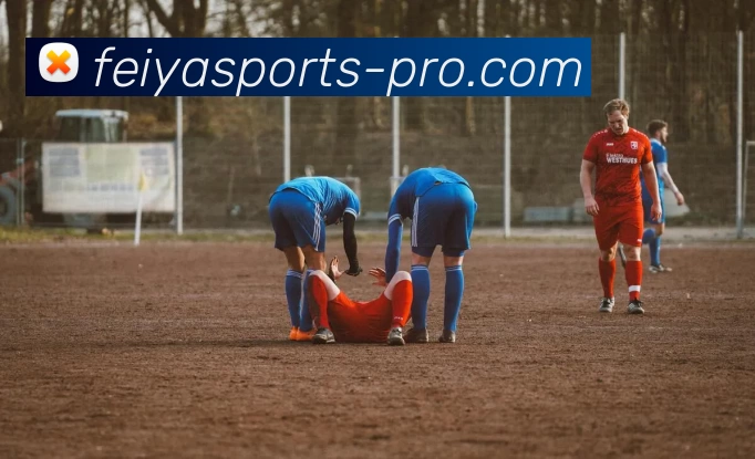 飞亚体育官网APP 封面图